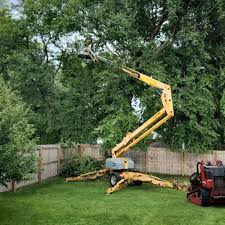 Mulching Services in Monterey, CA
